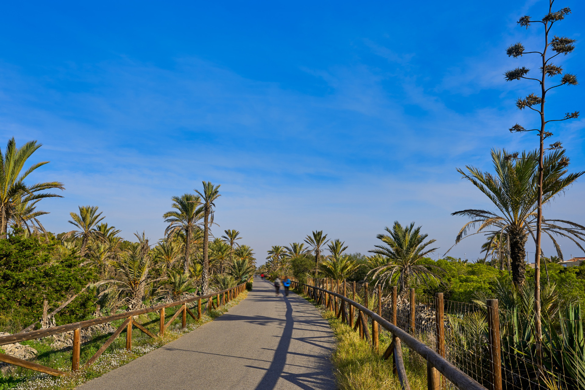 Odsprzedaż - Działka / Grunt - Guardamar del Segura - Guardamar pueblo