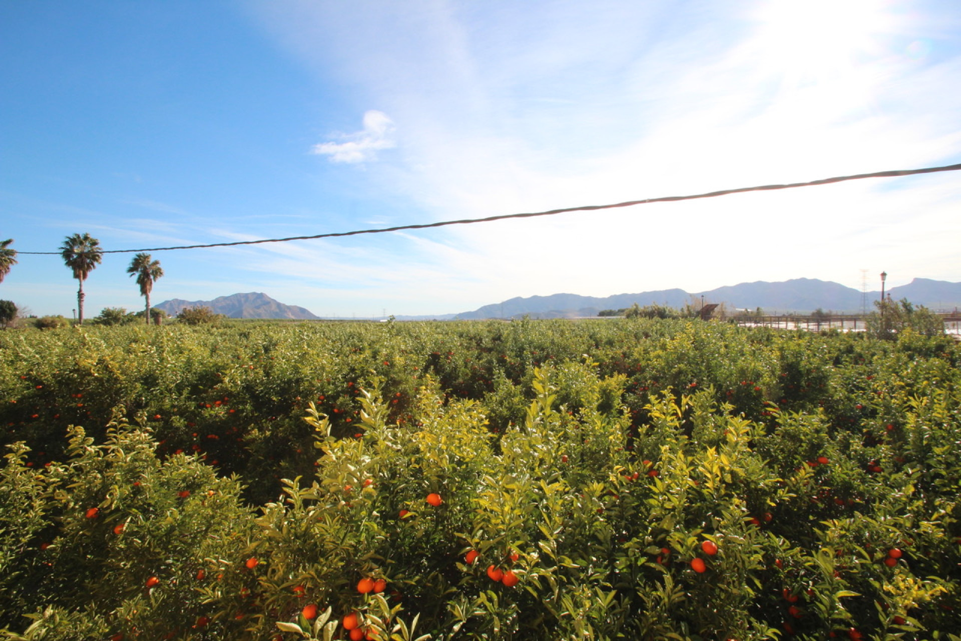 Odsprzedaż - Finca / Country House - Murcia - Costa Blanca Sur
