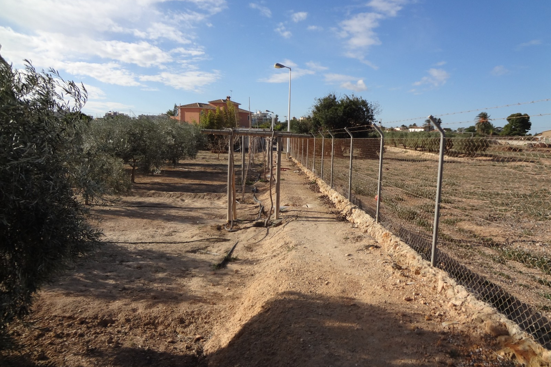 Odsprzedaż - Finca / Nieruchomość wiejska - El Altet