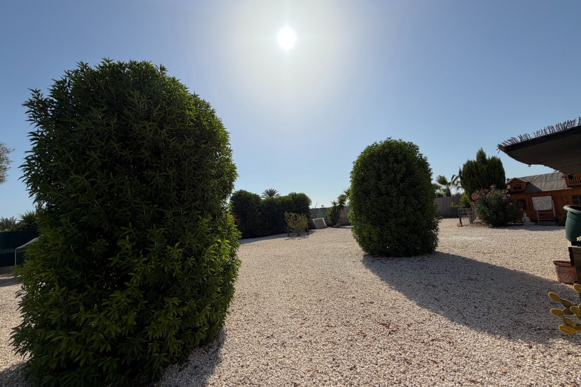 Odsprzedaż - Finca / Nieruchomość wiejska - La Marina - Elche / Elx
