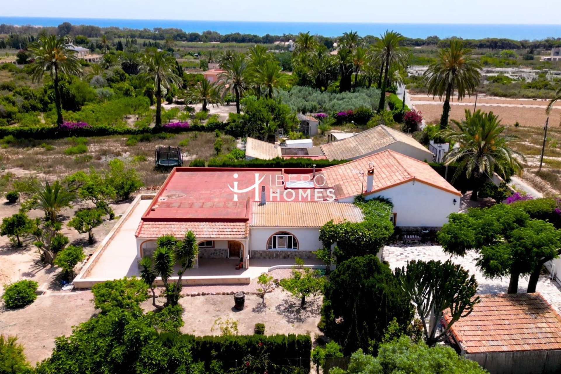 Odsprzedaż - Finca / Nieruchomość wiejska - La Marina