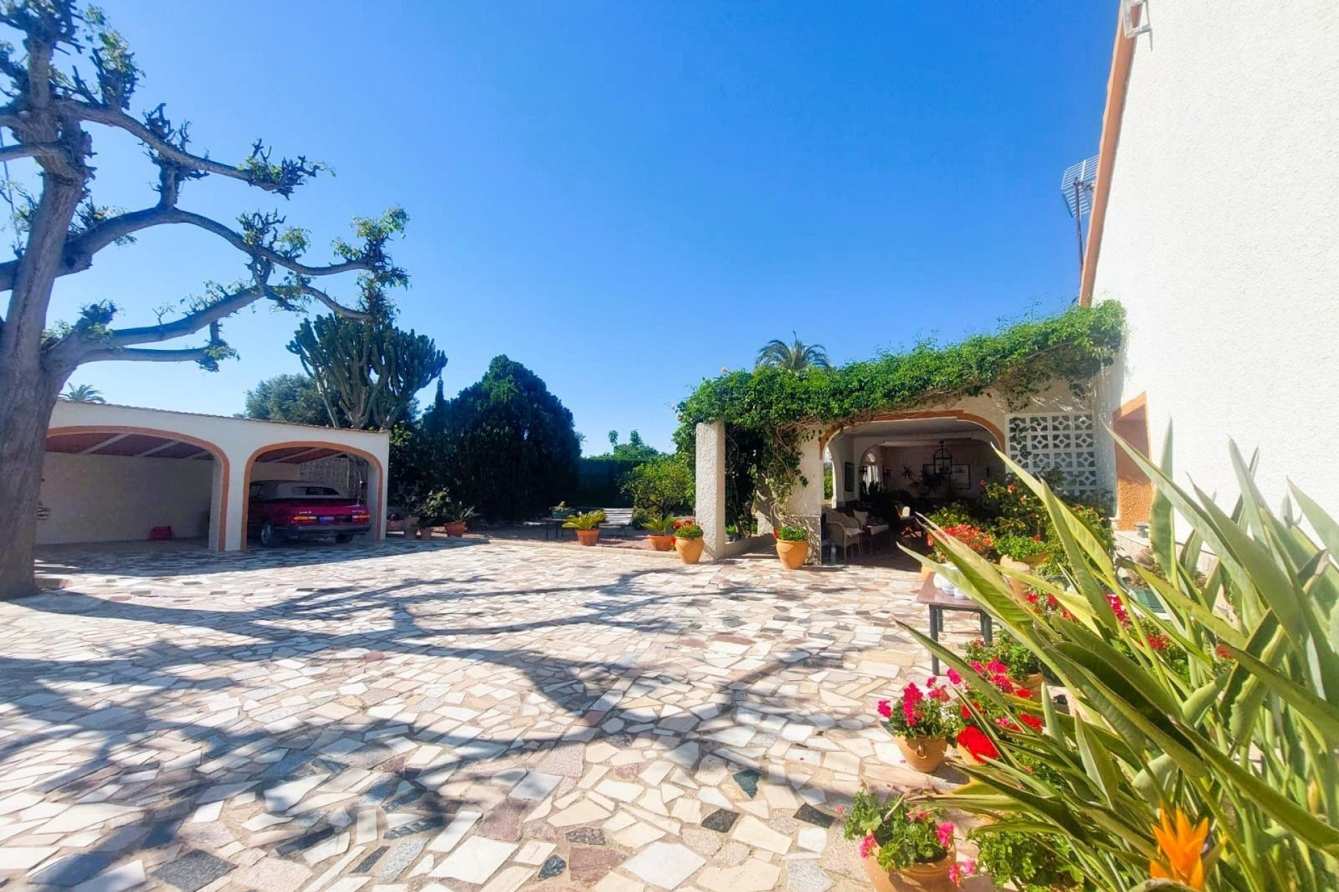 Odsprzedaż - Finca / Nieruchomość wiejska - La Marina
