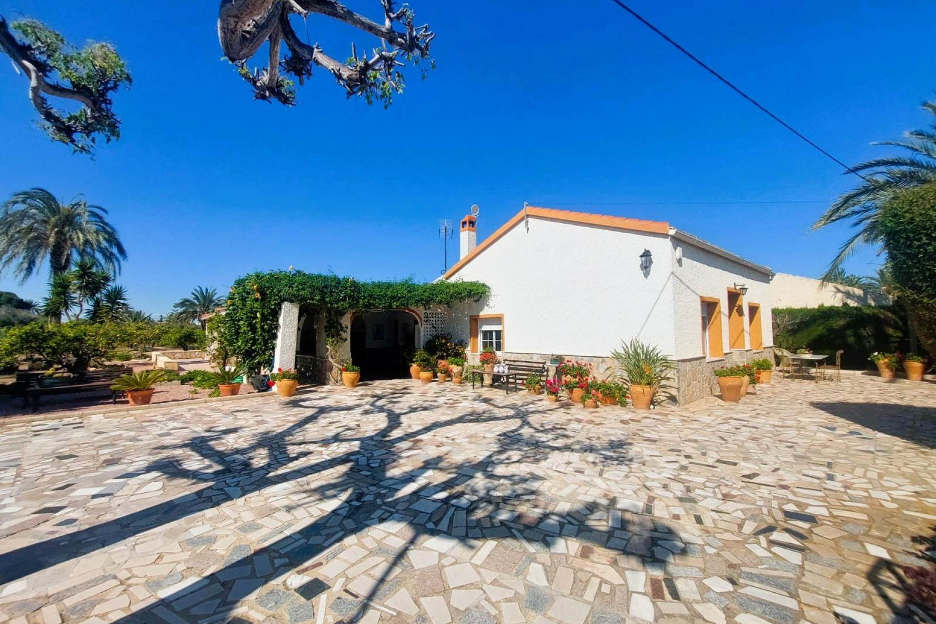 Odsprzedaż - Finca / Nieruchomość wiejska - La Marina
