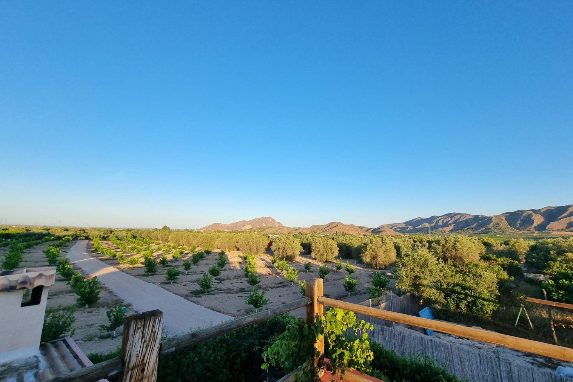 Odsprzedaż - Finca / Nieruchomość wiejska - Orihuela - Benferri