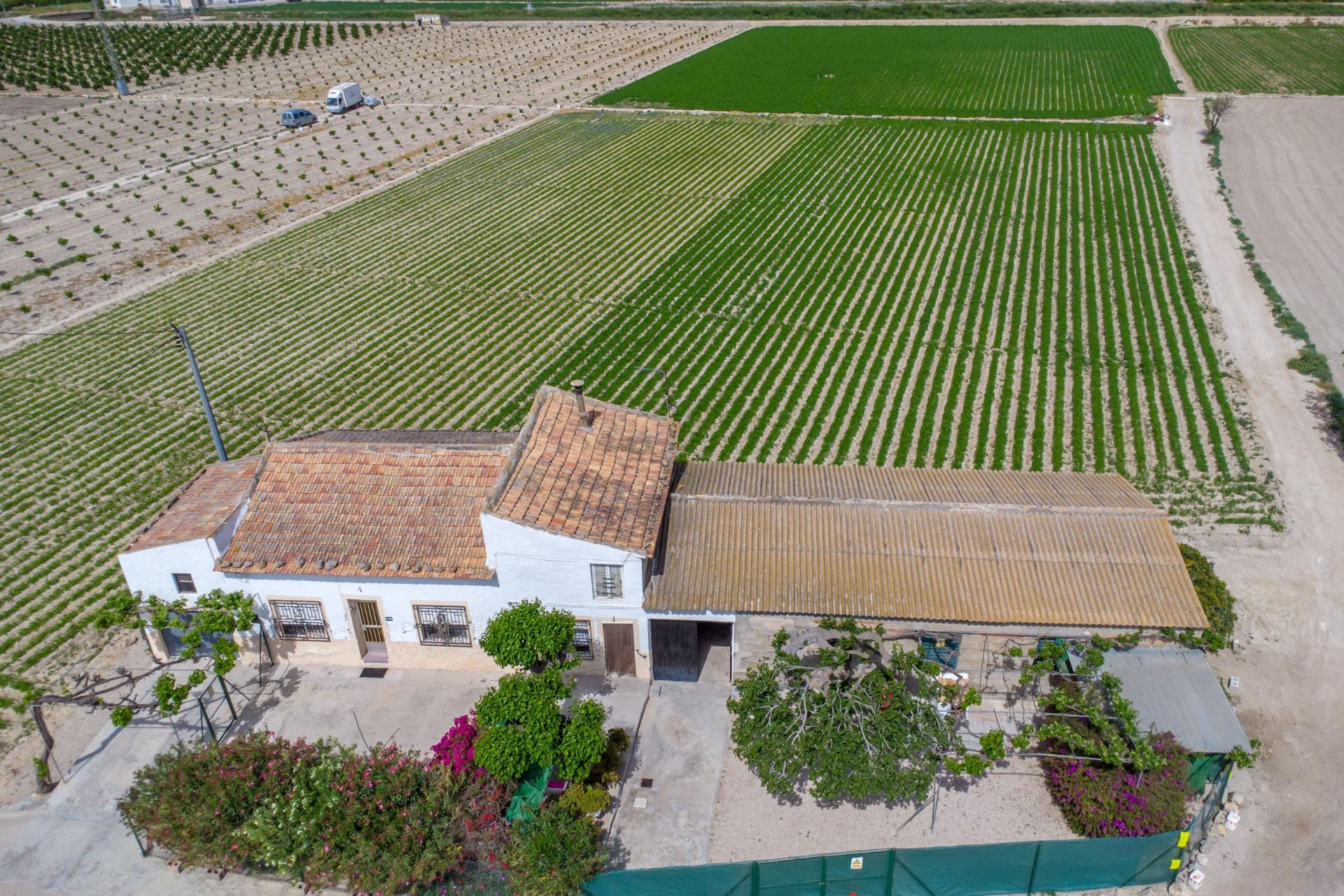 Odsprzedaż - Finca / Nieruchomość wiejska - Orihuela - Desamparados-Hurchillo-Torremendo