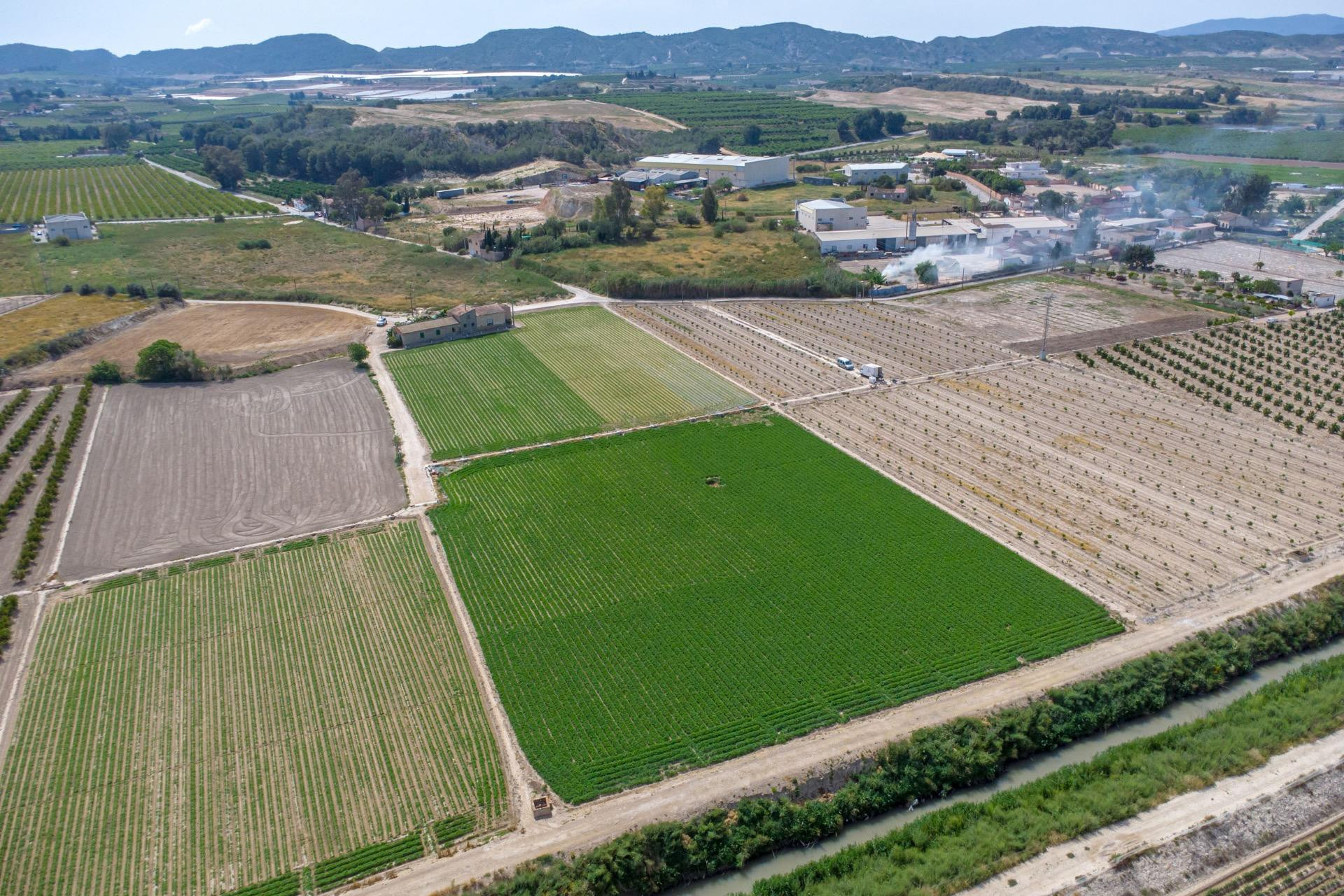 Odsprzedaż - Finca / Nieruchomość wiejska - Orihuela - Desamparados-Hurchillo-Torremendo