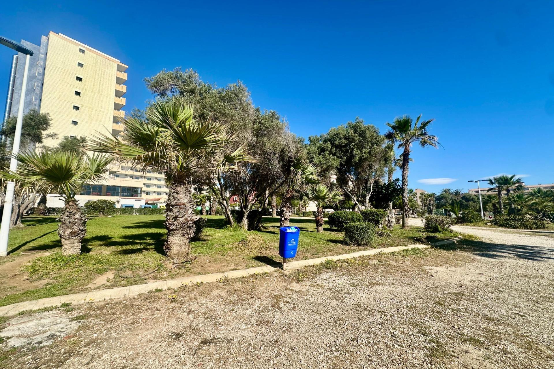 Odsprzedaż - Mieszkanie w bloku - Torrevieja - Cabo Cervera