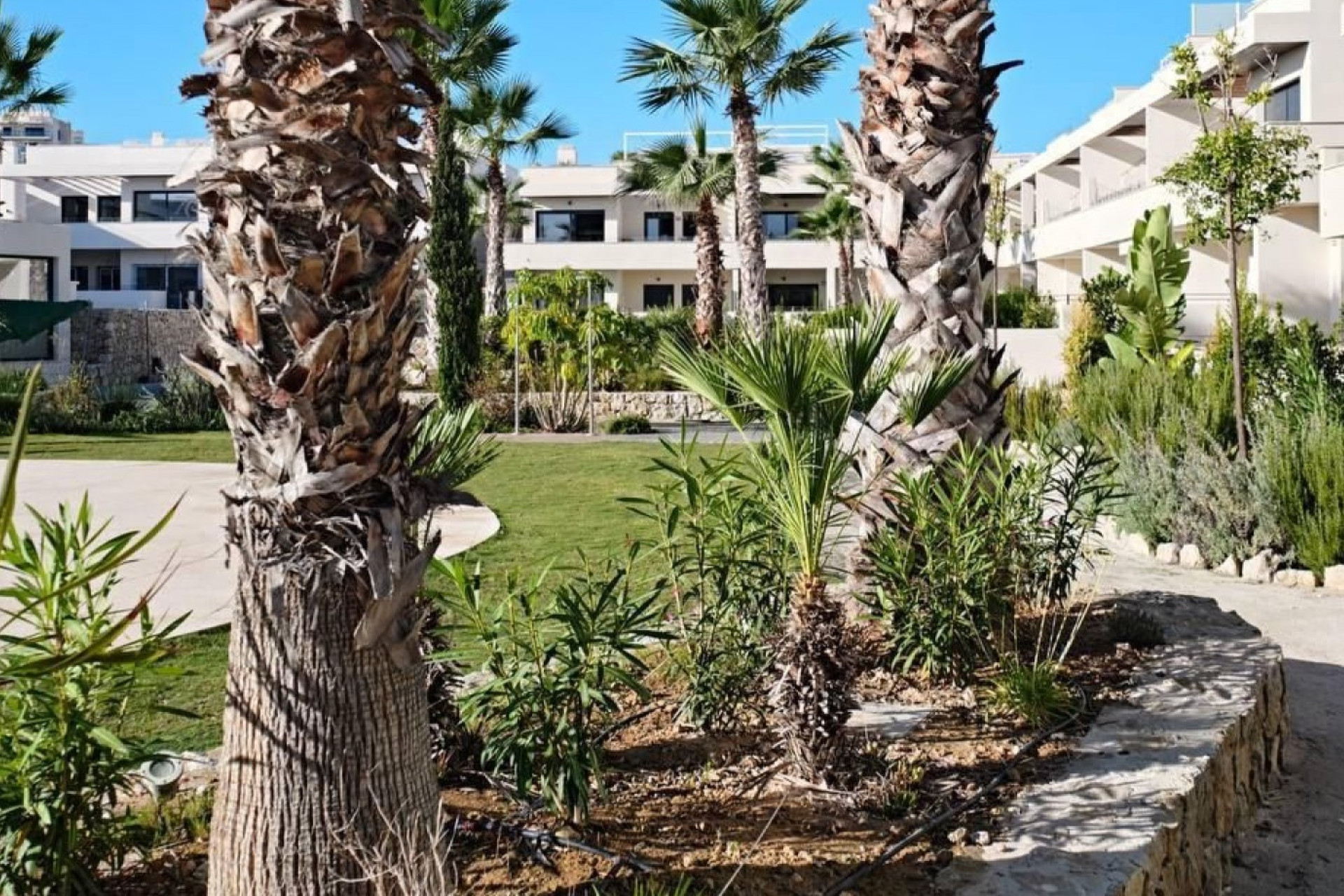 Odsprzedaż - Mieszkanie w bloku - Torrevieja - La Veleta