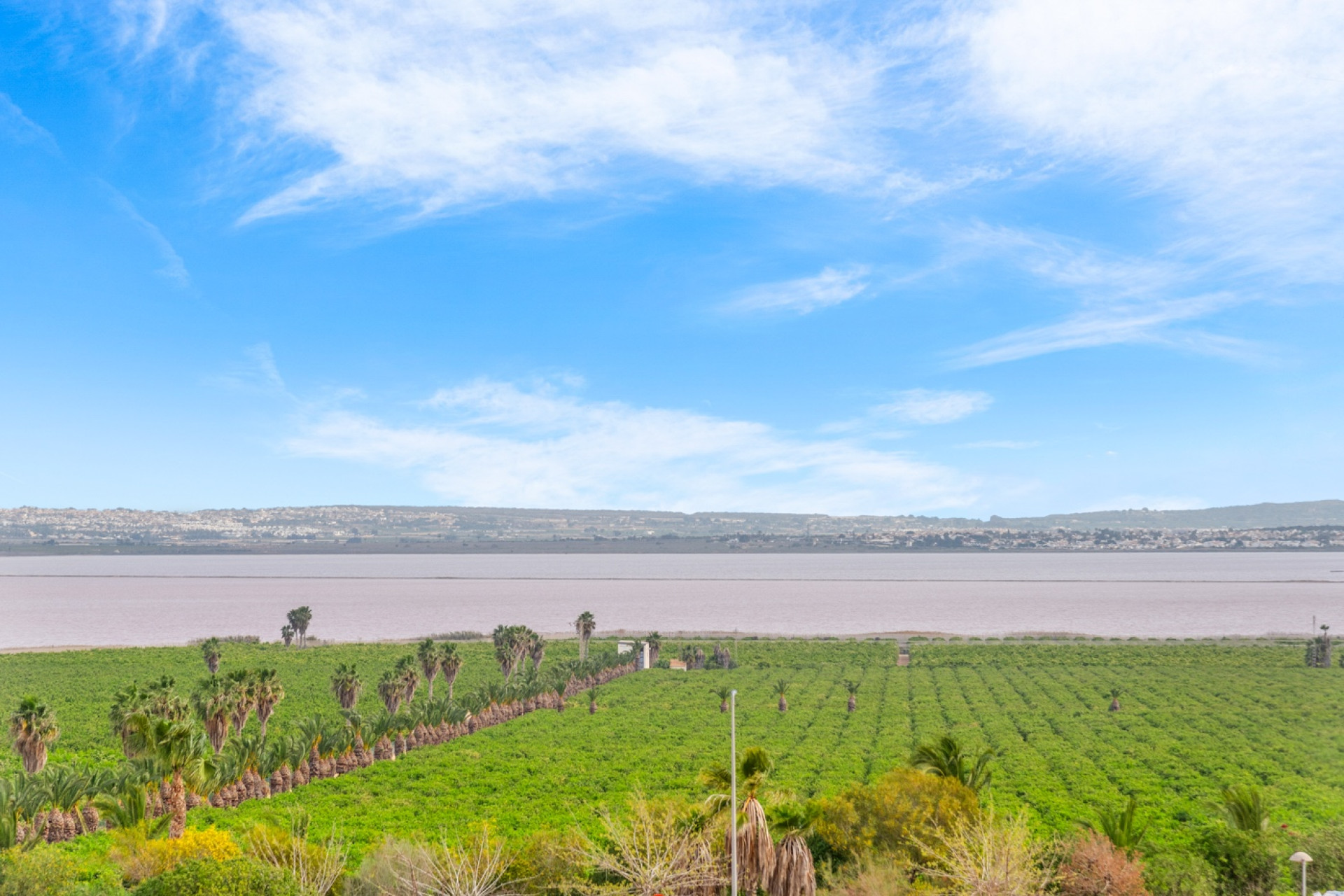 Odsprzedaż - Mieszkanie w bloku - Torrevieja - Los Balcones