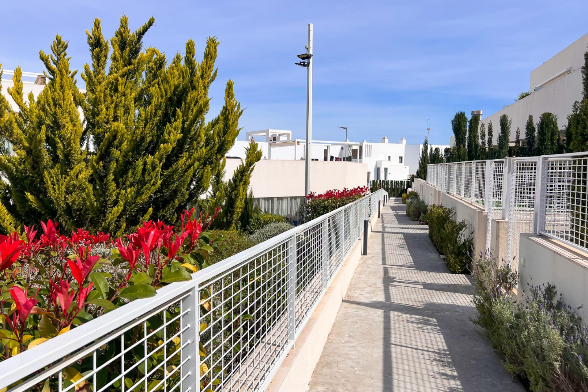 Odsprzedaż - Mieszkanie w bloku - Torrevieja - Los Balcones