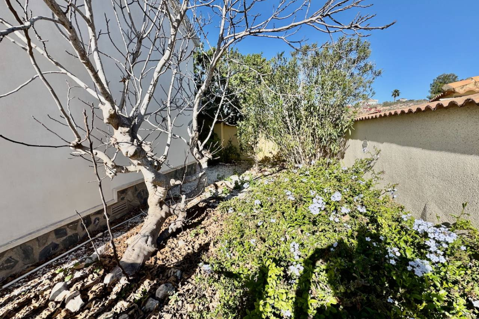 Odsprzedaż - Villa - Ciudad Quesada - Lo Pepin