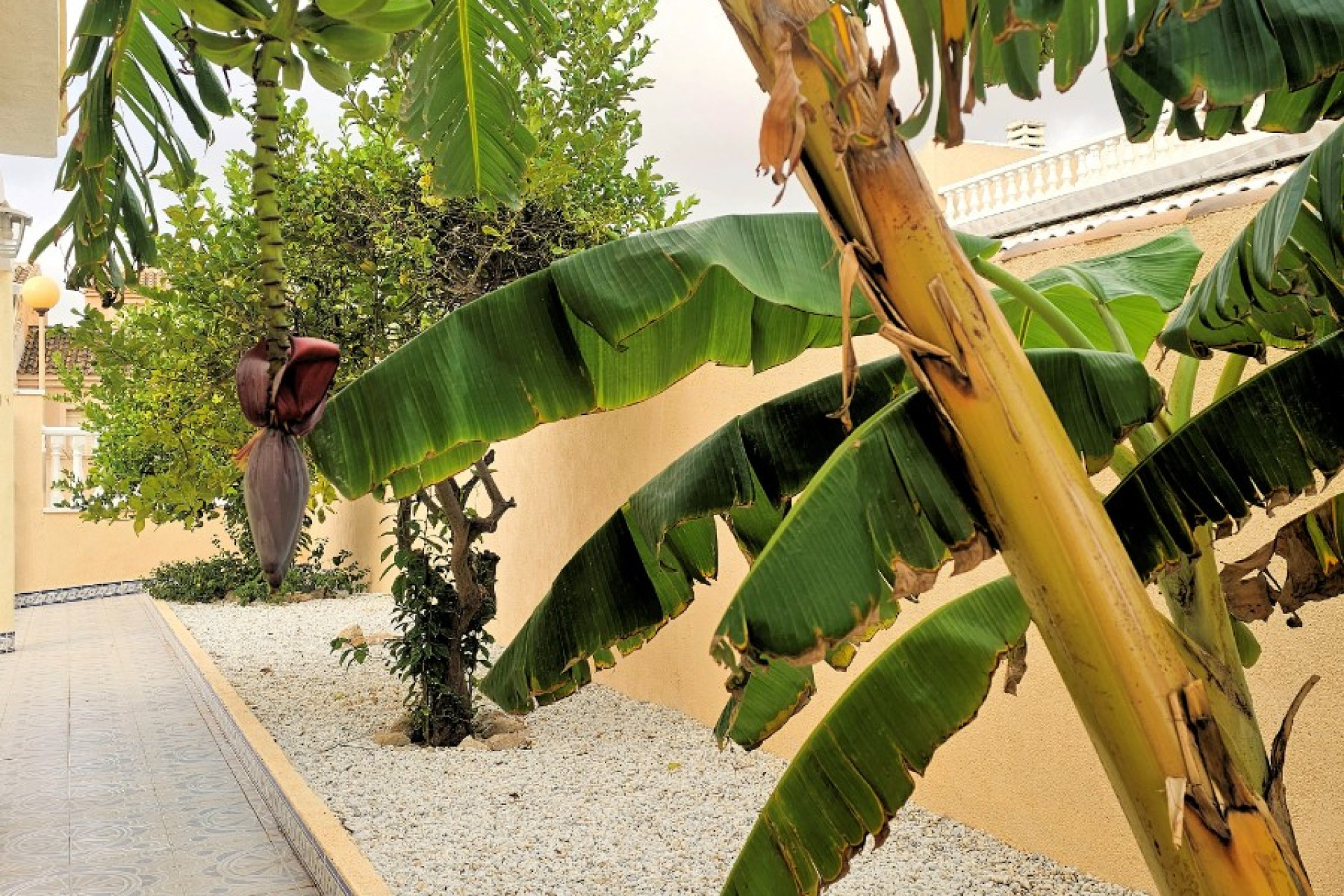 Odsprzedaż - Villa - Los Urrutias - Estrella De Mar