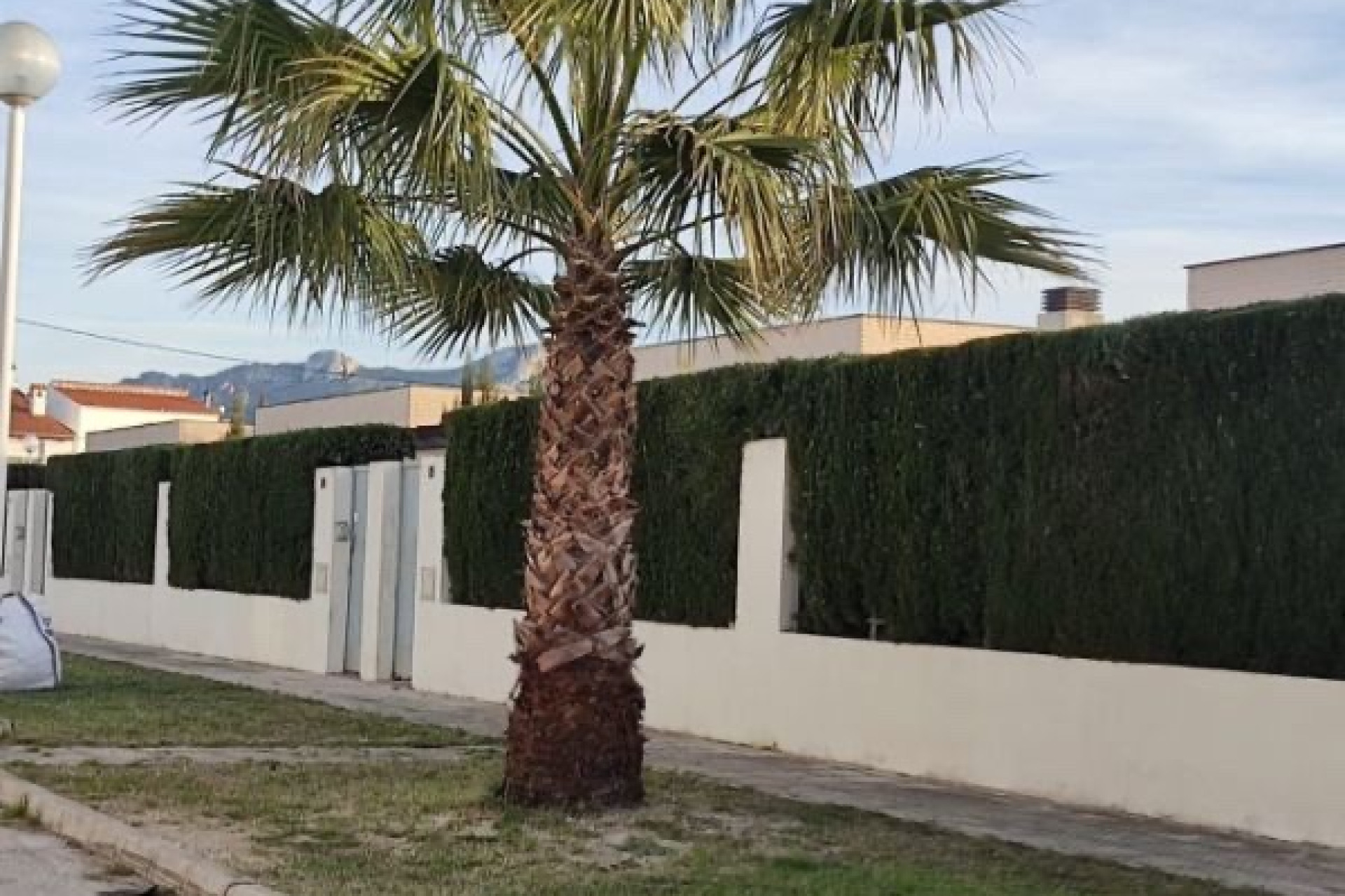 Odsprzedaż - Villa - Oliva - Oliva Nova