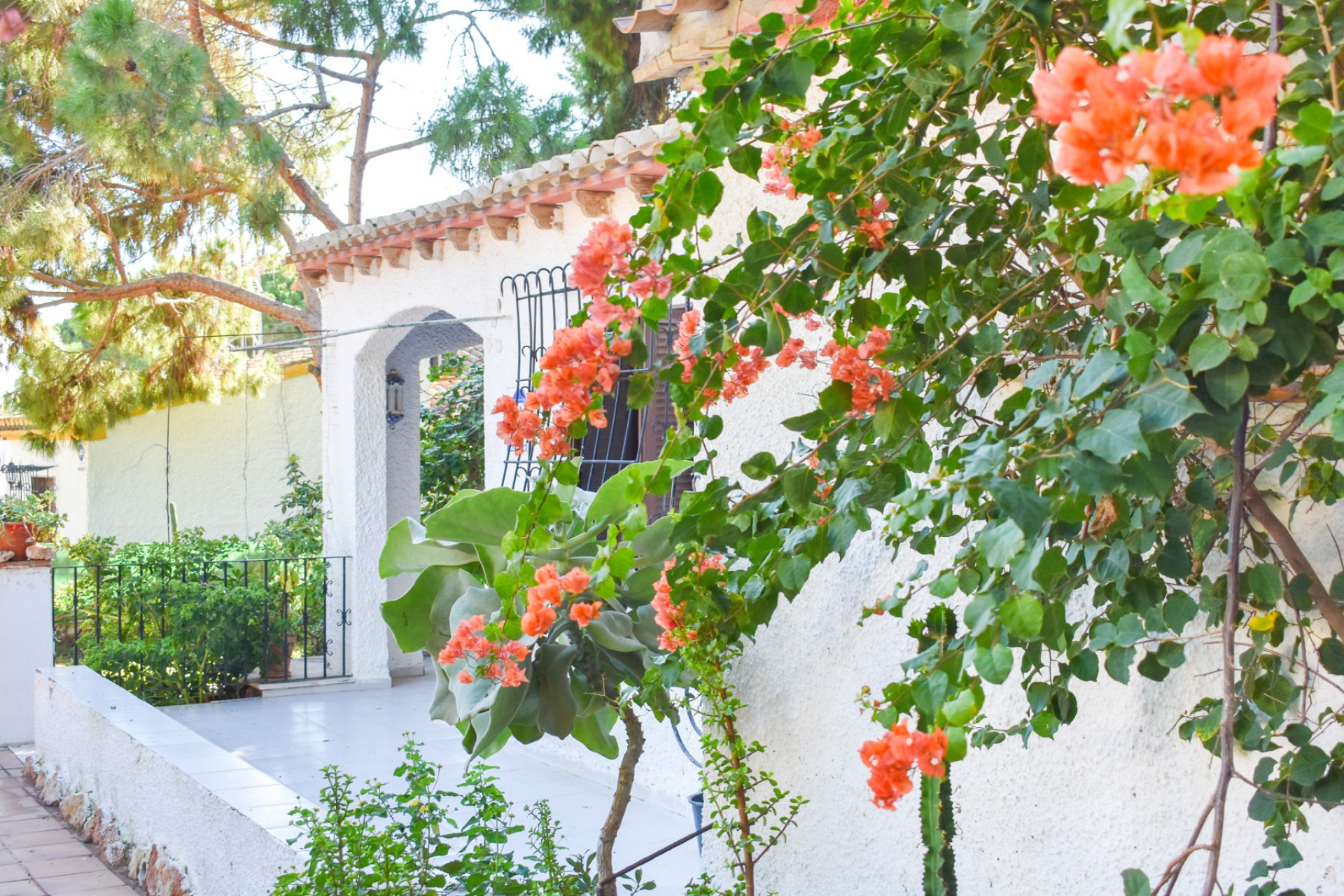 Odsprzedaż - Villa - Orihuela Costa - Punta Prima