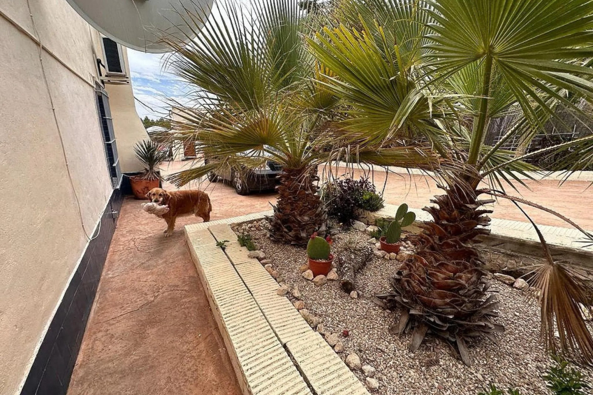 Odsprzedaż - Villa - Sax