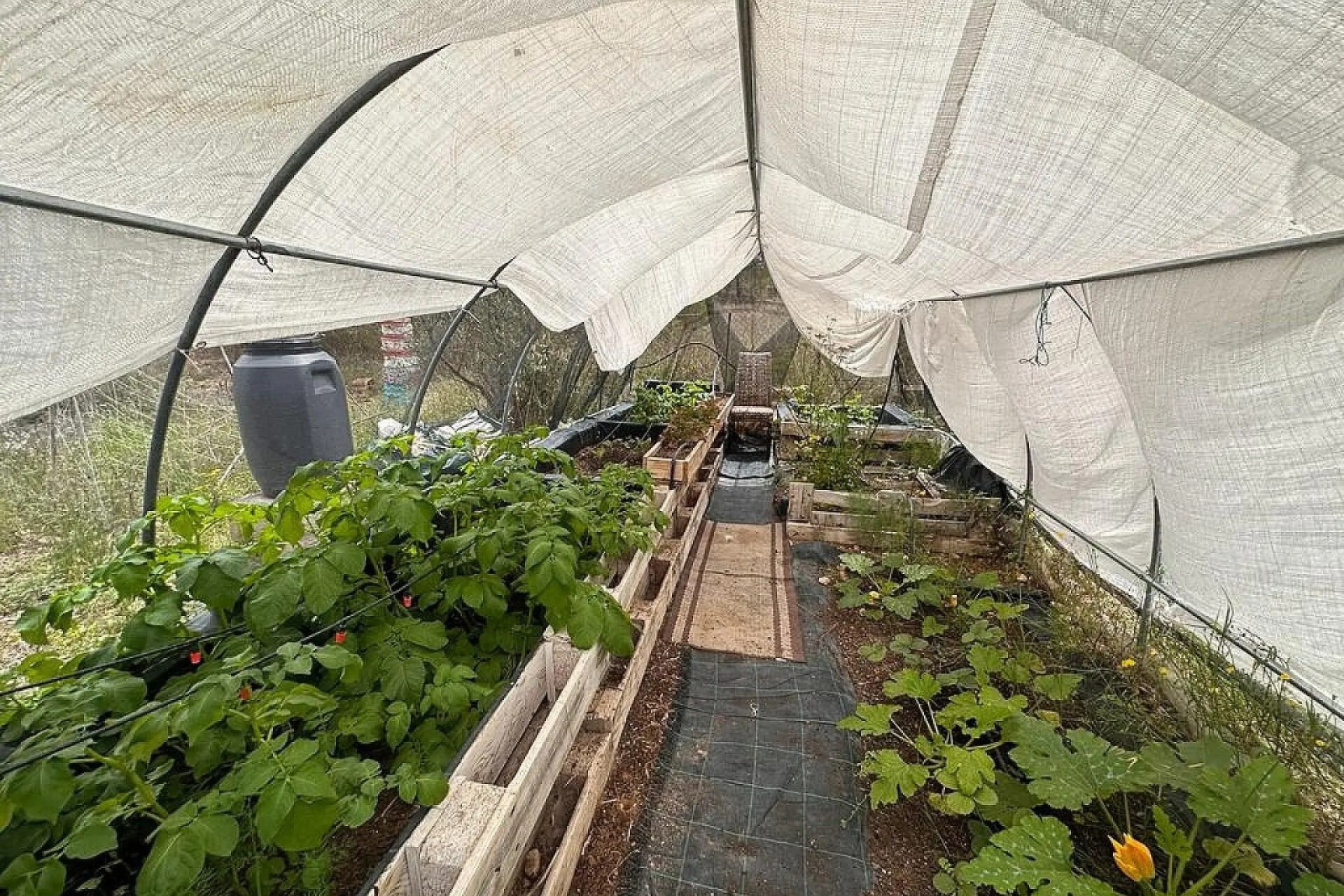 Odsprzedaż - Villa - Sax