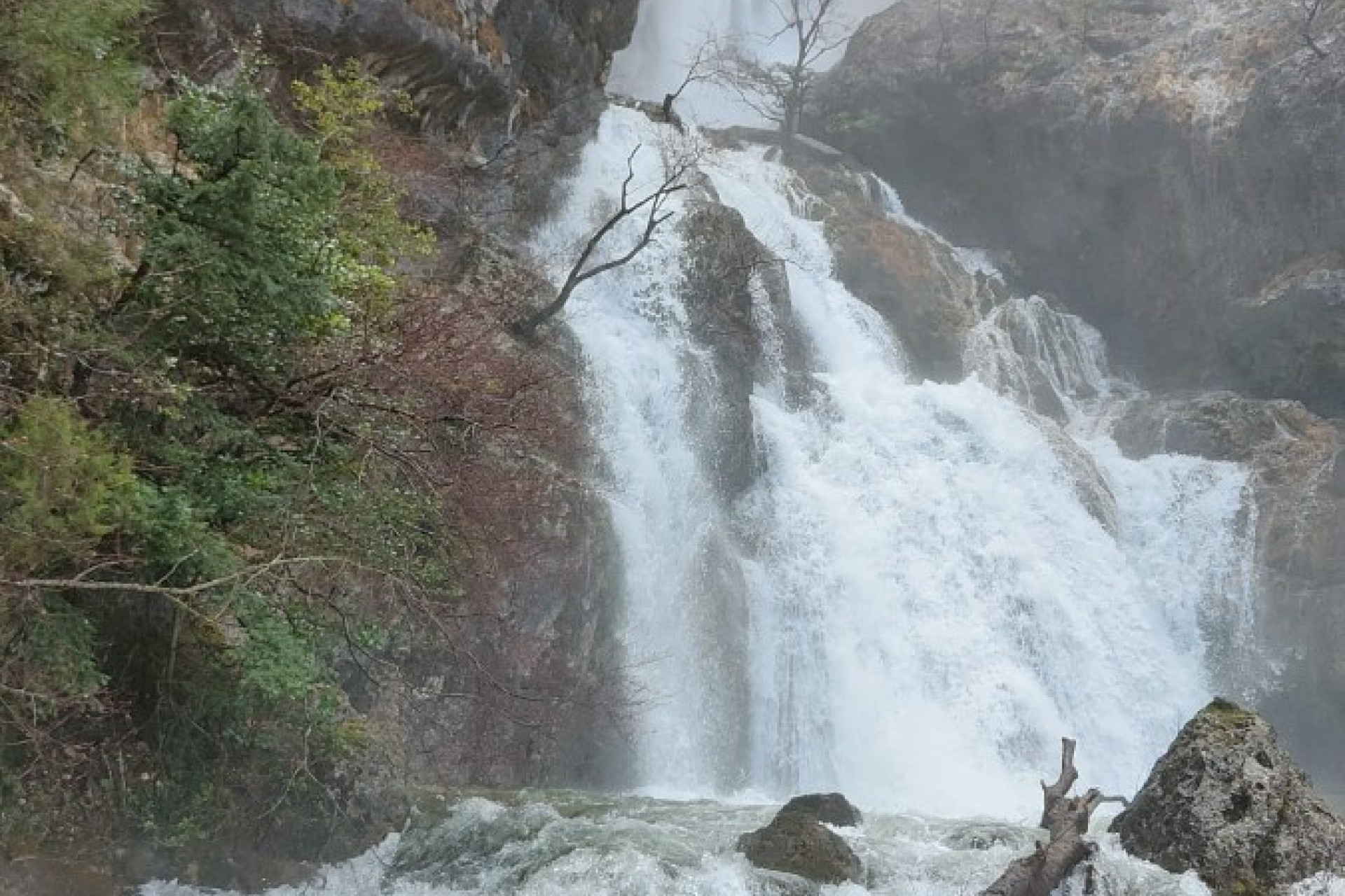 Odsprzedaż - Villa - 