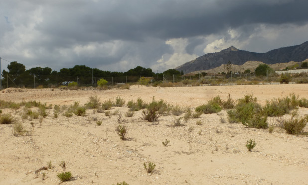 Parcela / Terreno - Reventa - Crevillente - C-53910