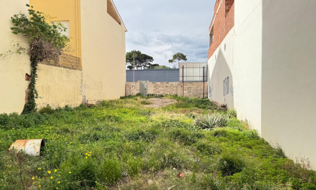 Parcela / Terreno - Reventa - Ondara - C-30595
