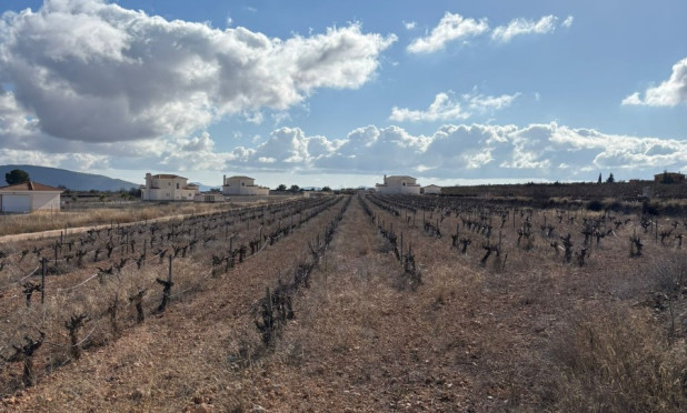 Parcela / Terreno - Reventa - Pinoso - el Pinós / Pinoso