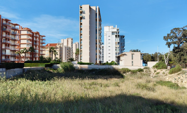 Parcelle / Terrain - Revente - Guardamar del Segura - Guardamar pueblo