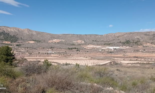 Parcelle / Terrain - Revente - La Romana - La Romana