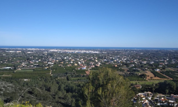 Parcelle / Terrain - Revente - Pedreguer - Pedreguer