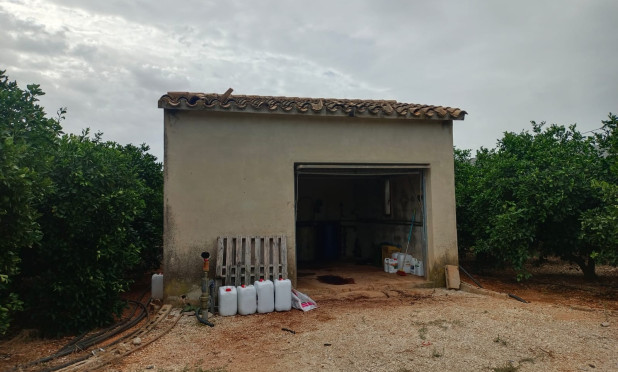 Parcelle / Terrain - Revente - Pedreguer - Pedreguer
