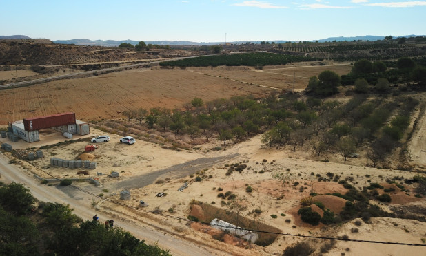 Parcelle / Terrain - Revente - Torremendo - Torremendo - Country