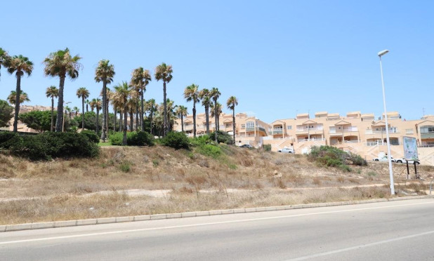 Parcelle / Terrain - Revente - Torrevieja - C-62034