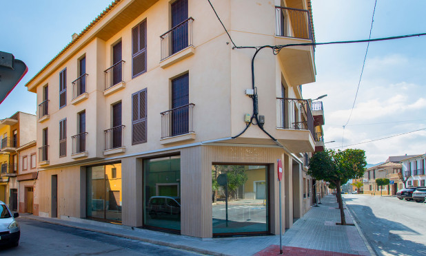 Penthouse - Nieuwbouw Woningen - Hondón de las Nieves - NB-87680