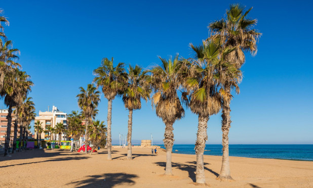 Penthouse - Wiederverkauf - Torrevieja - La Mata