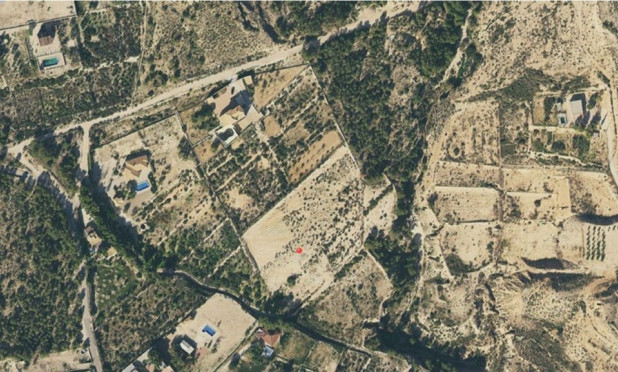 Perceel / Grond - Herverkoop - Crevillente - C-45234