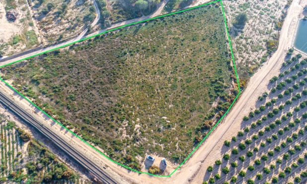 Plot / Land - Resale - Crevillente - Comunidad valenciana