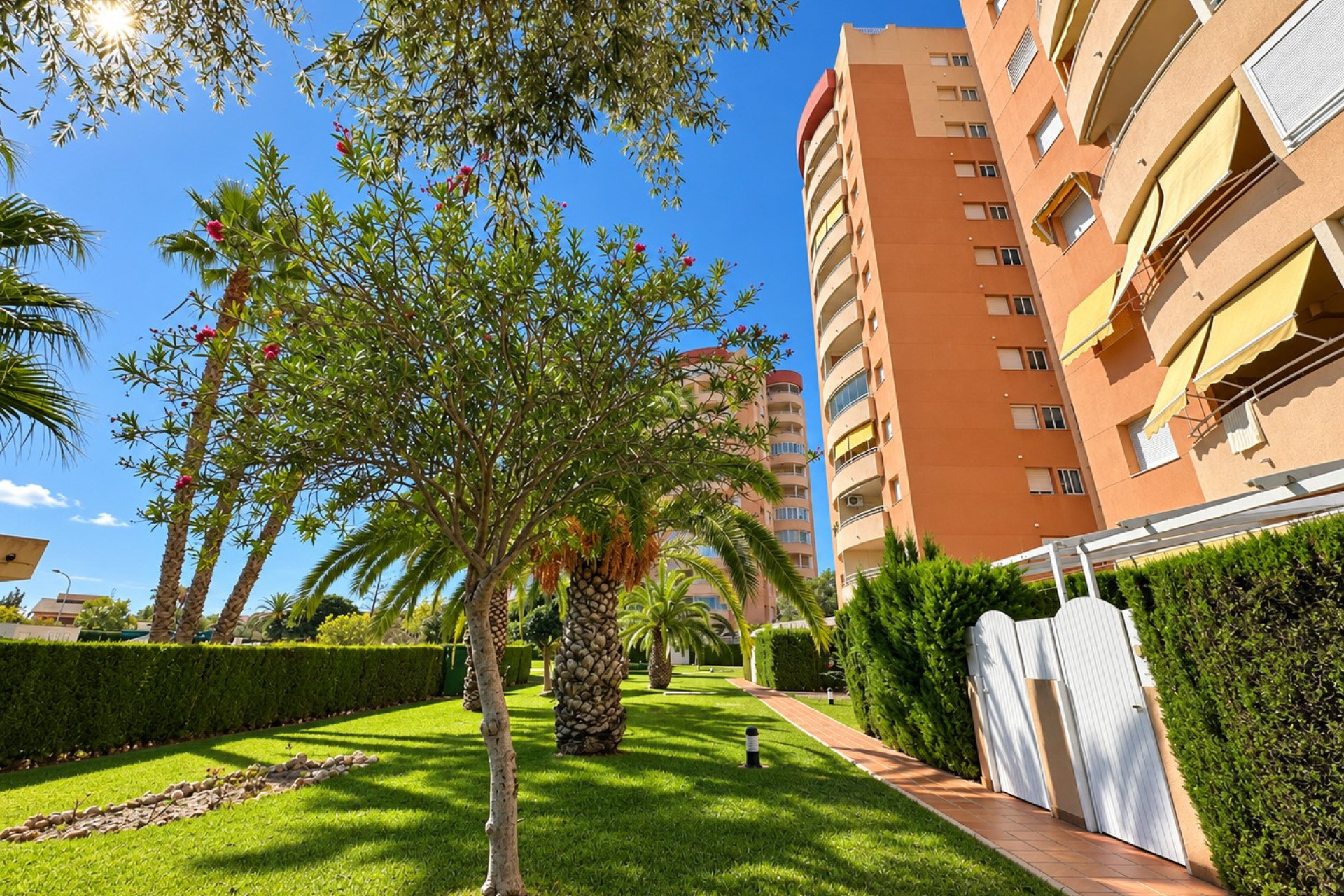Resale - Apartment / Duplex - Orihuela Costa - Campoamor