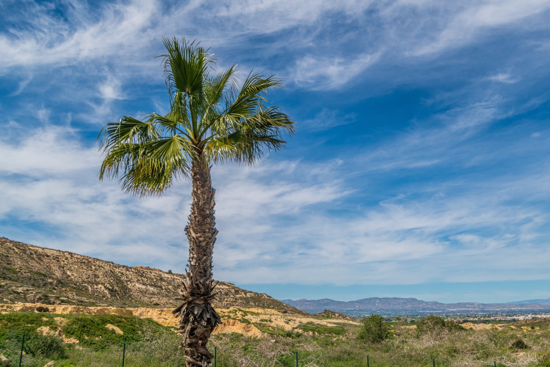 Resale - Apartment / flat - Algorfa - La Finca Golf