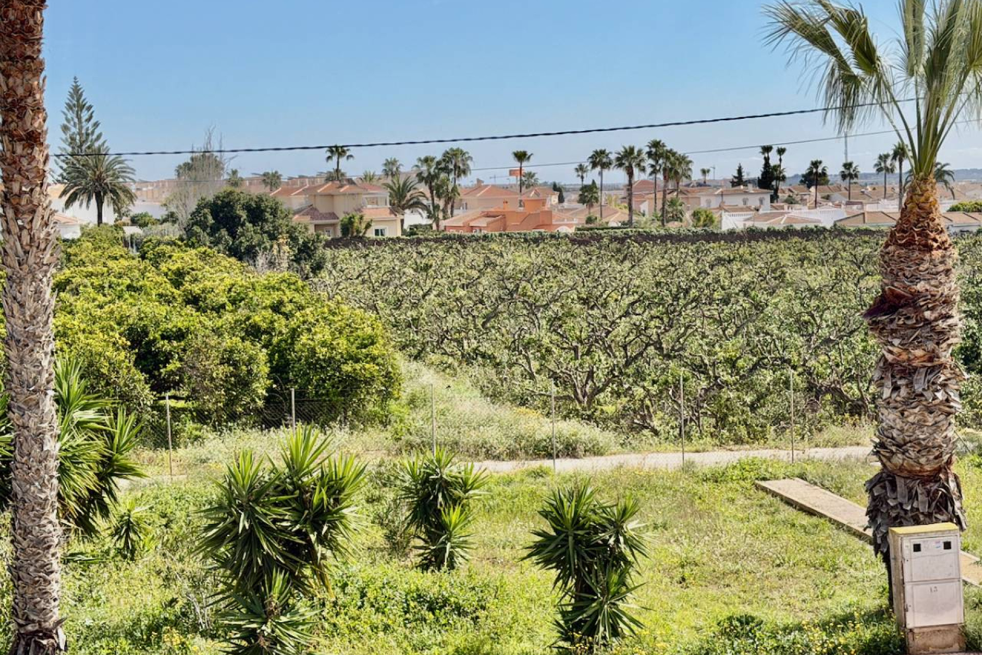 Resale - Apartment / flat - Ciudad Quesada