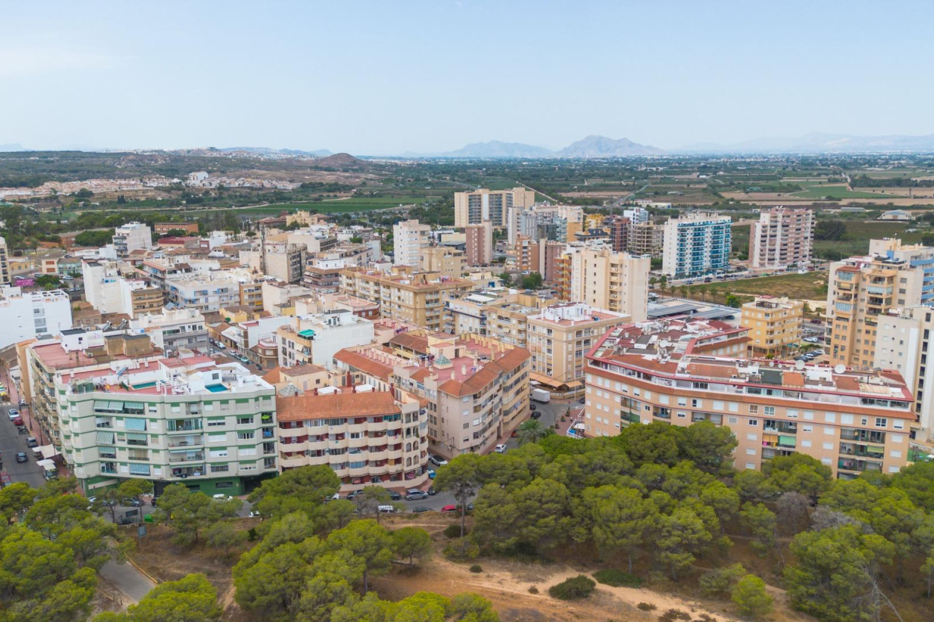Resale - Apartment / flat - Guardamar del Segura - CENTRO