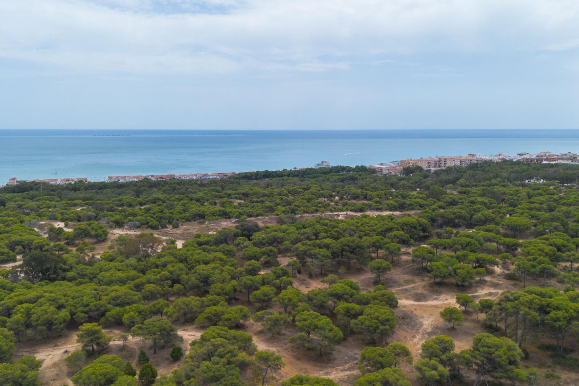 Resale - Apartment / flat - Guardamar del Segura - CENTRO