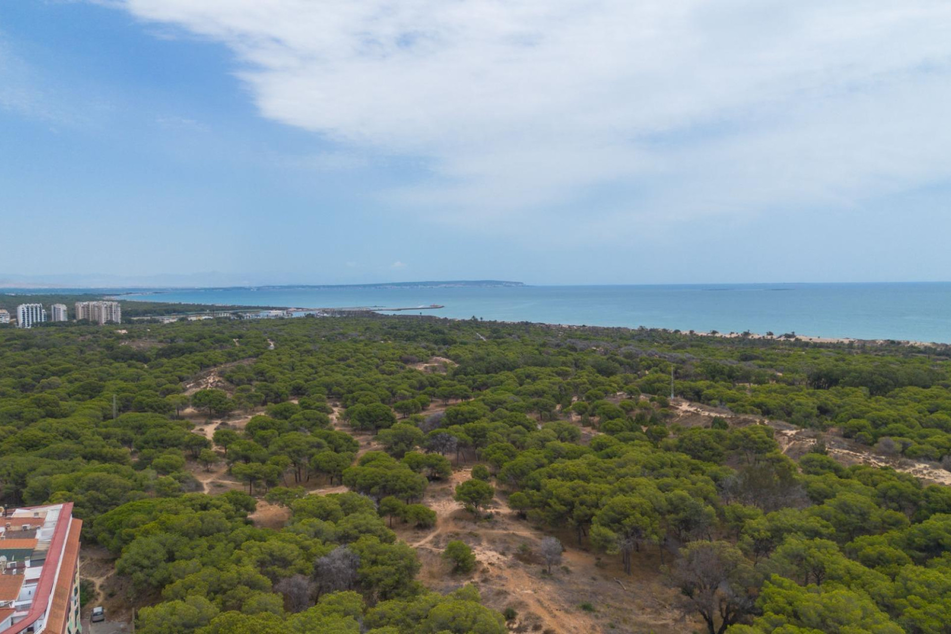 Resale - Apartment / flat - Guardamar del Segura - CENTRO