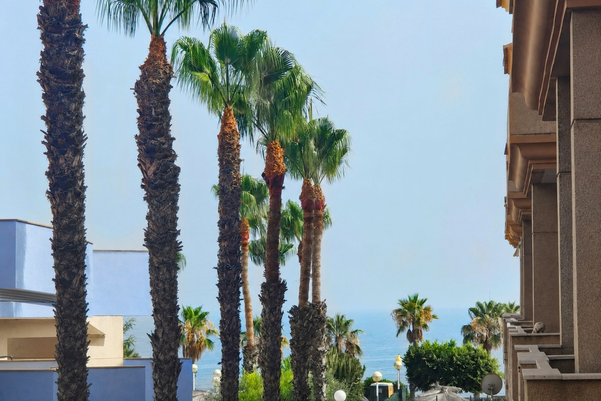 Resale - Apartment / flat - Orihuela Costa - Agua Marina
