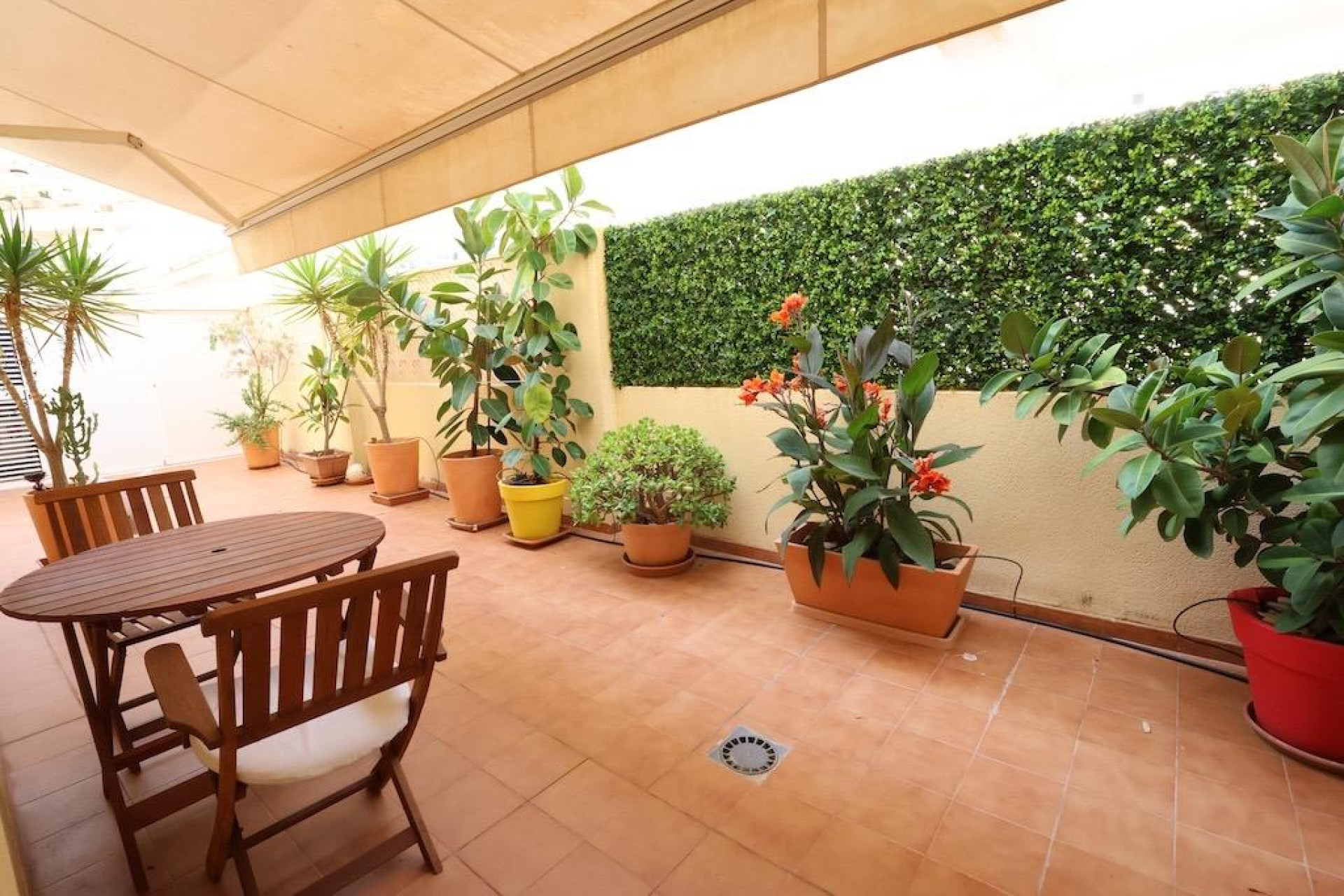 Resale - Apartment / flat - Orihuela Costa - Campoamor