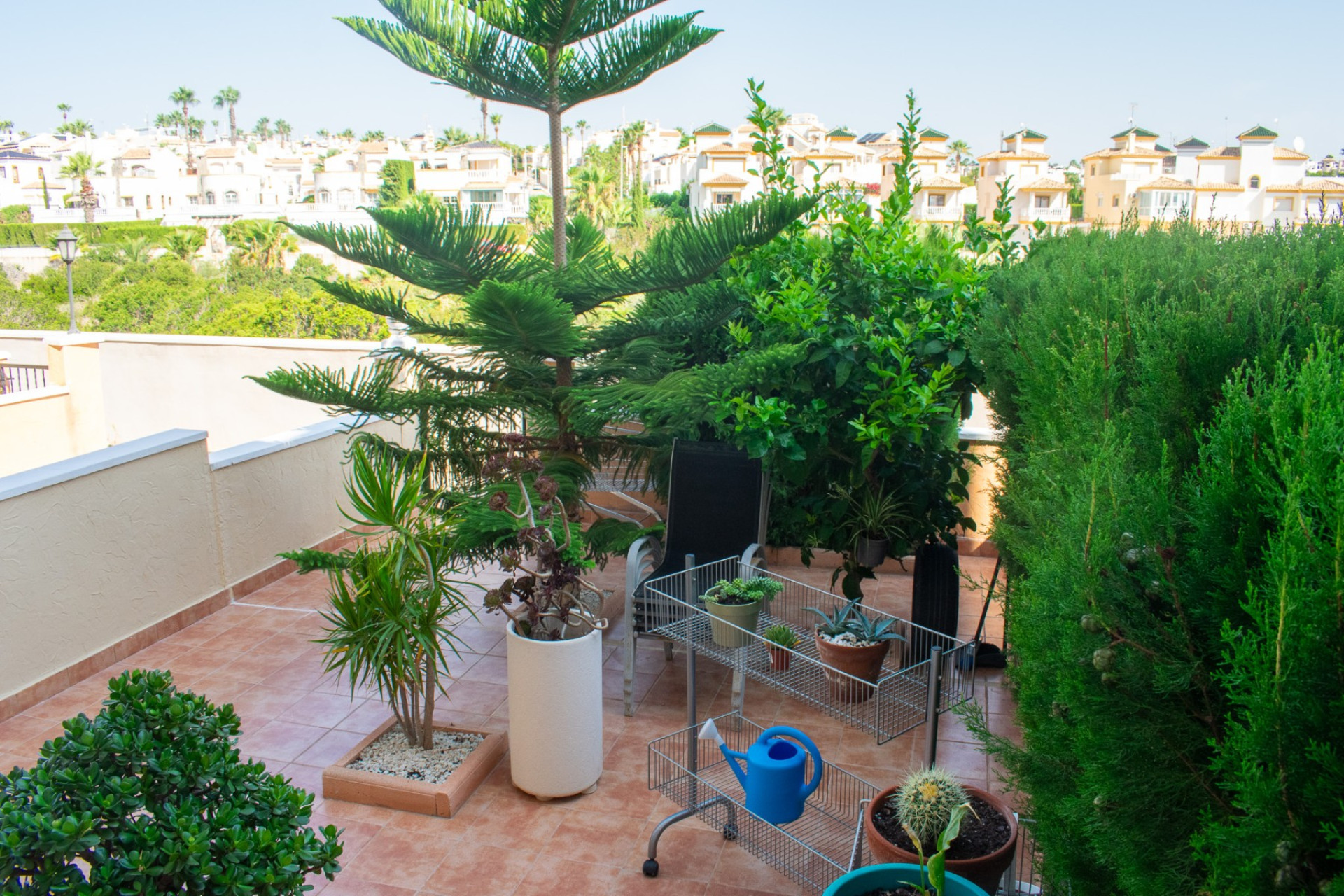 Resale - Apartment / flat - Orihuela Costa - Los Dolses