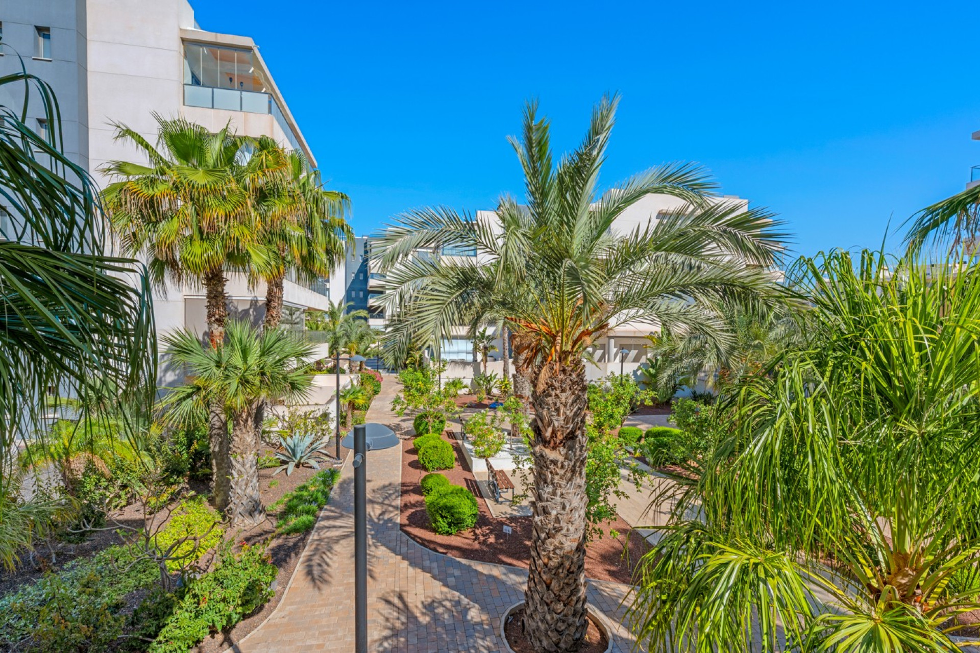 Resale - Apartment / flat - Orihuela Costa - Los Dolses