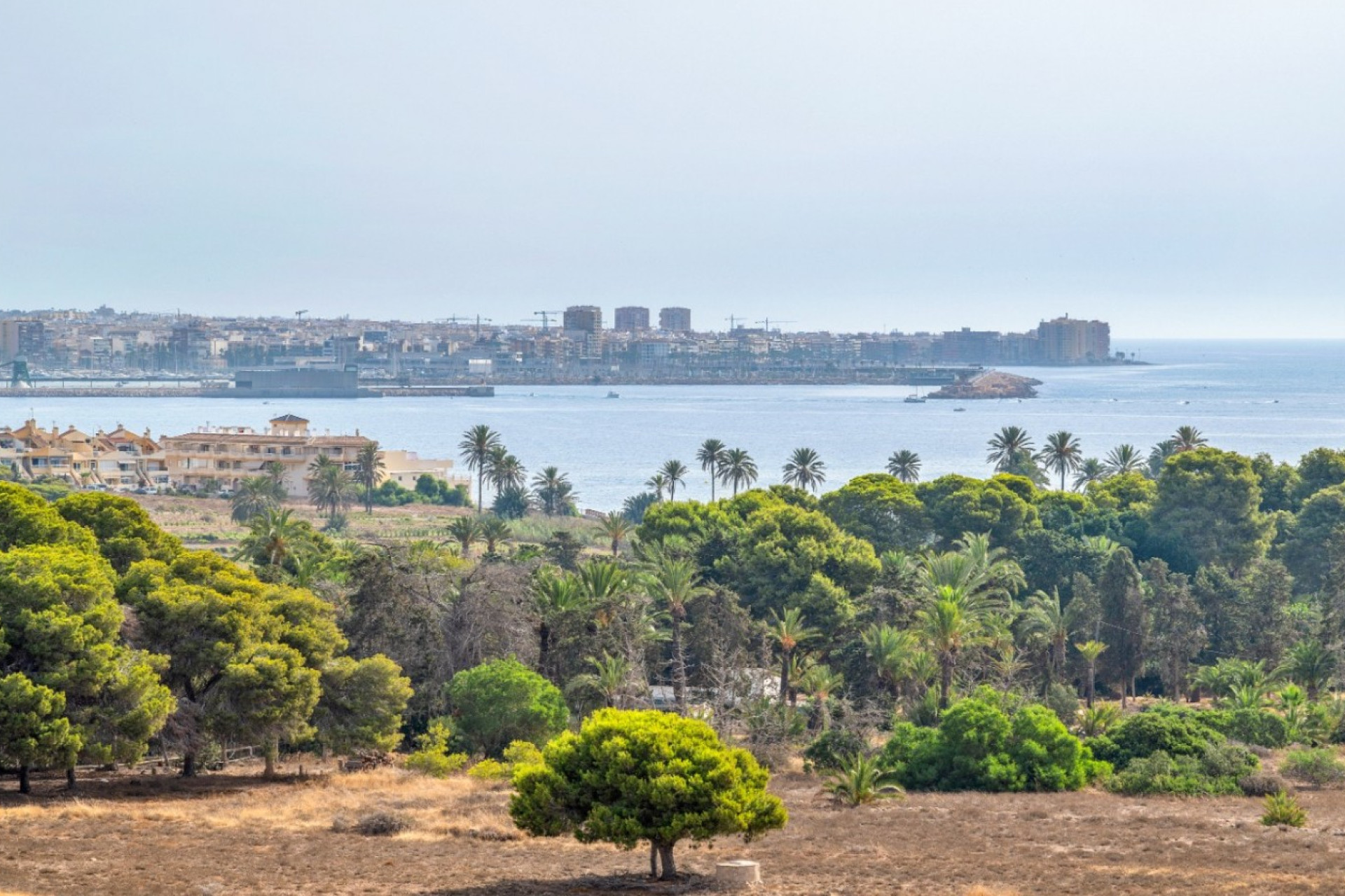 Resale - Apartment / flat - Orihuela Costa - Punta Prima