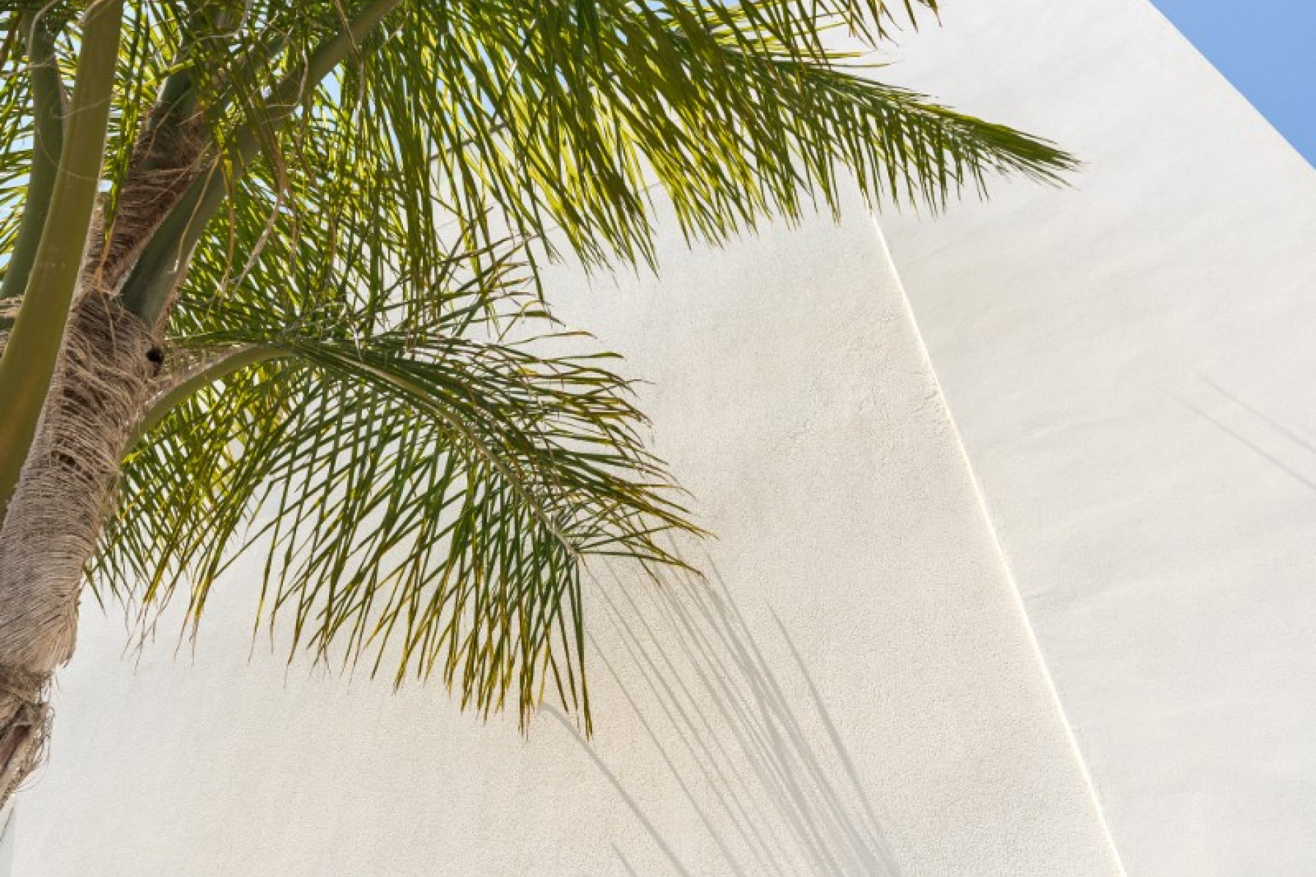 Resale - Apartment / flat - Torre de la Horadada