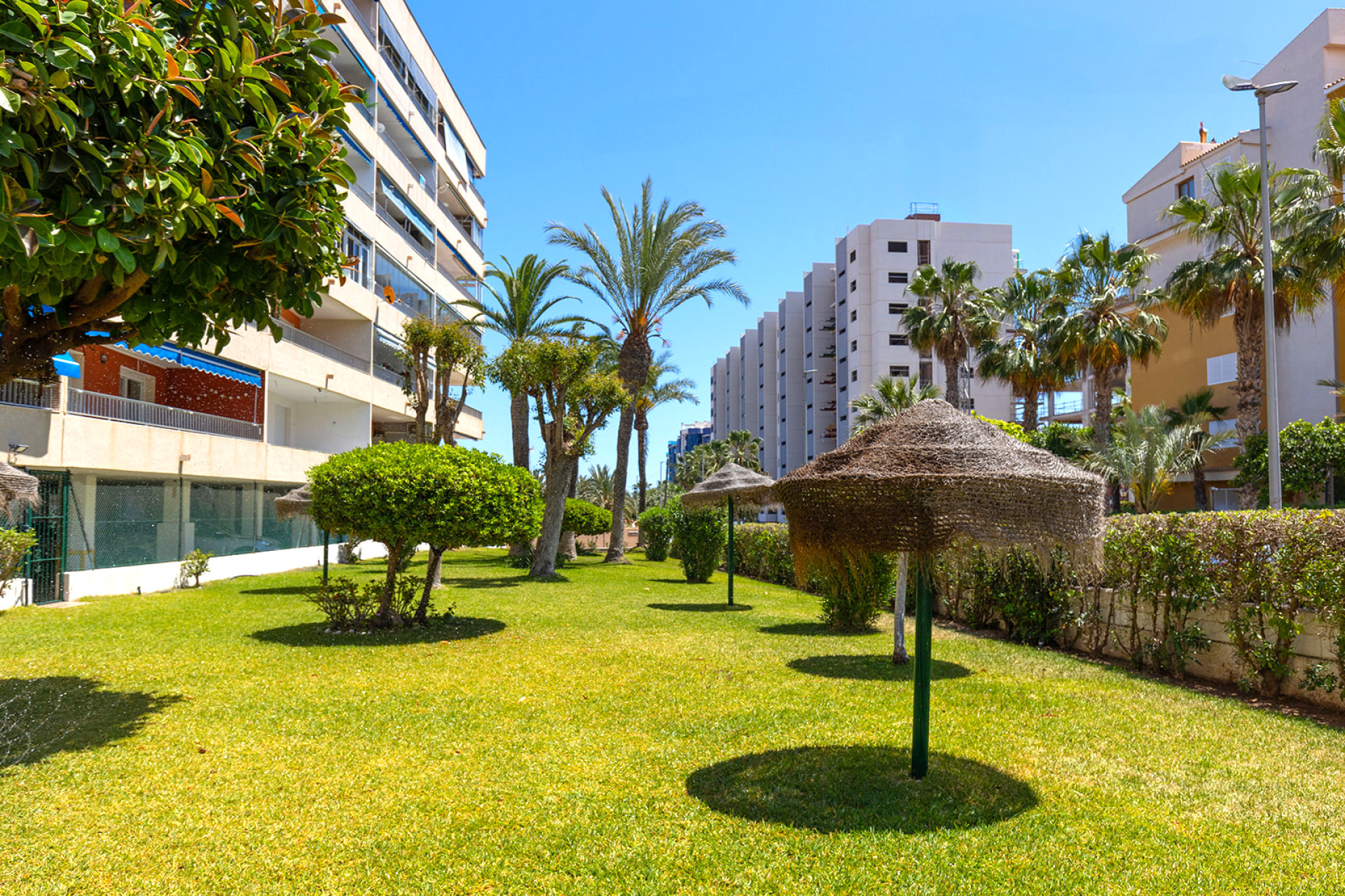 Resale - Apartment / flat - Torrevieja - Rocio del Mar