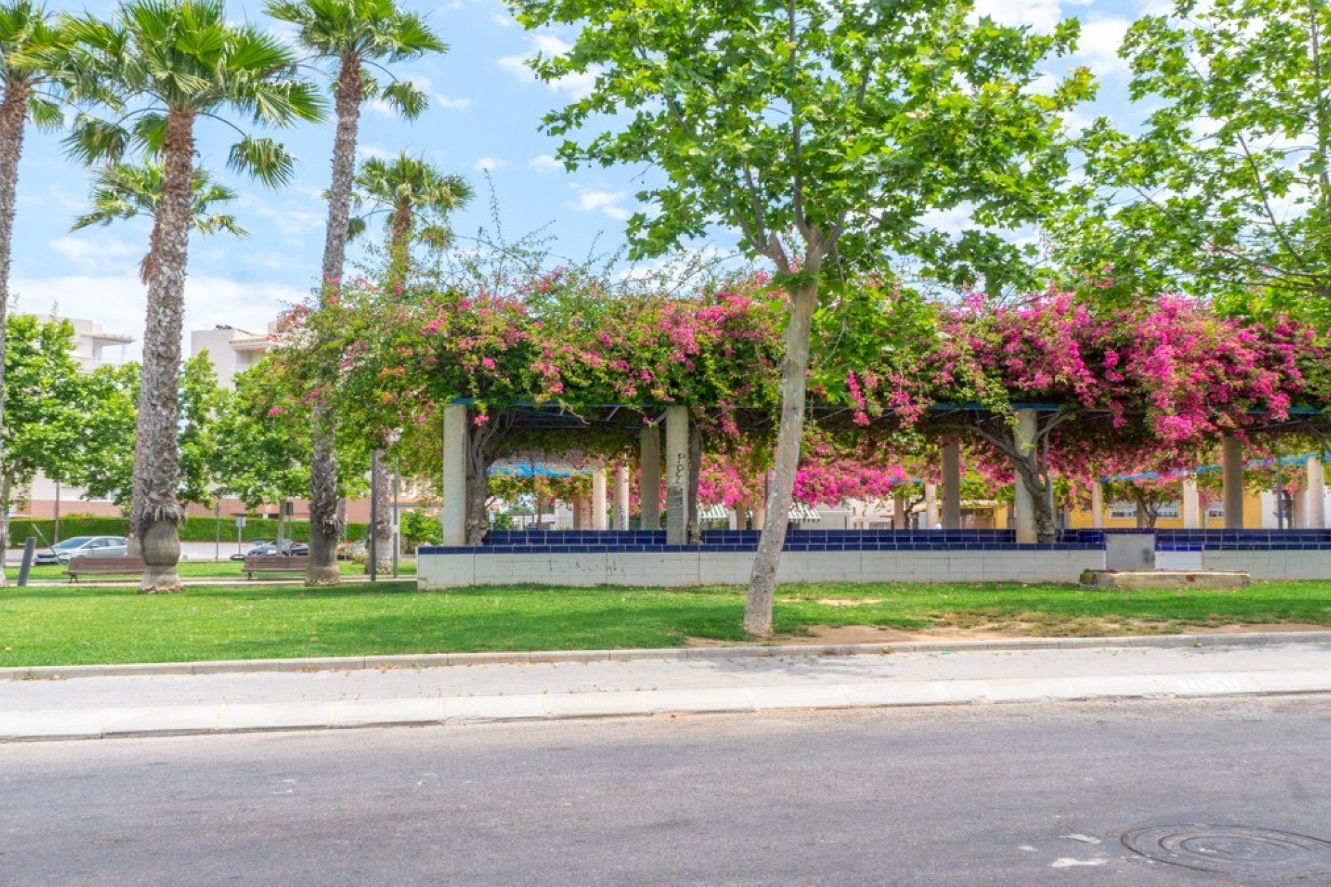 Resale - Apartment / flat - Torrevieja - torrevieja