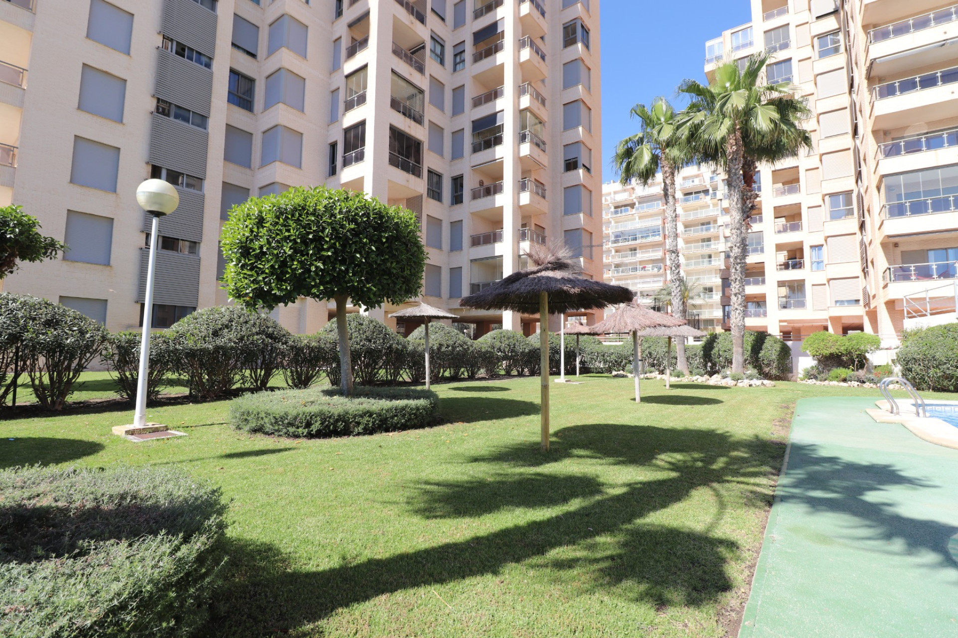 Resale - Duplex - Guardamar del Segura - Guardamar del Segura - Town