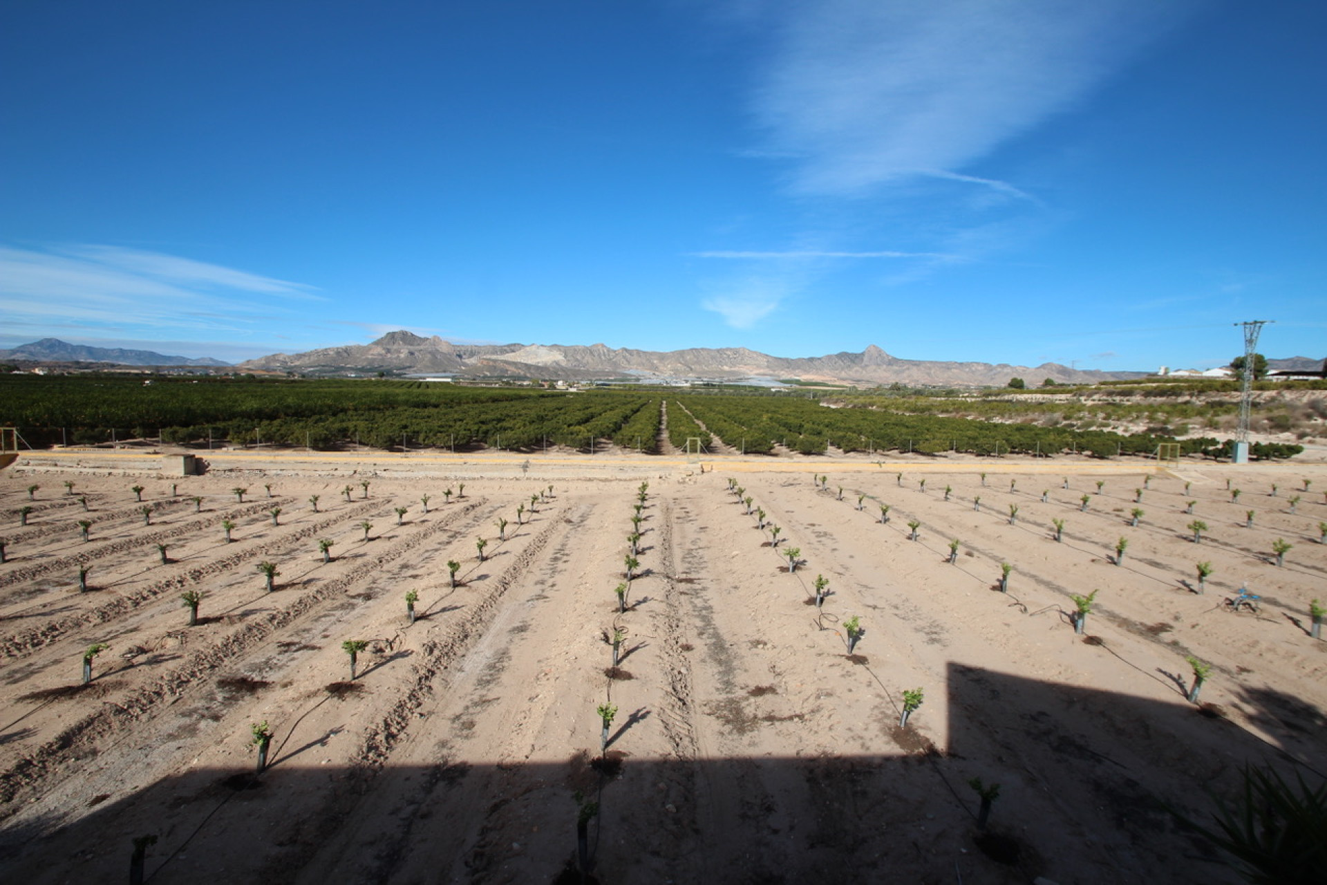 Resale - Finca / Country House - Murcia - Costa Blanca Sur